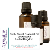 Birch, Sweet Essential Oil