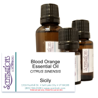 Orange (Blood) Essential Oil